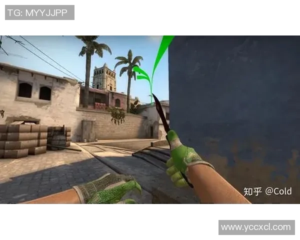 CSGO热议聚焦JDG战队意识争议引发的战术讨论与分析 CSGO热议聚焦JDG战队意识争议引发的战术讨论与分析