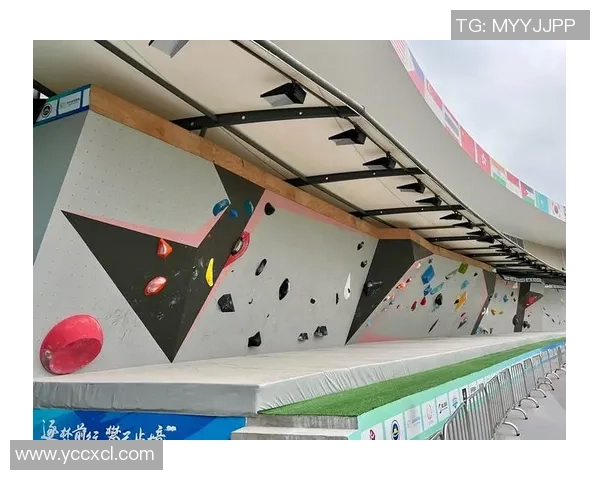 广州攀岩队的拼搏之路极限运动嘉年华精彩回顾与展望