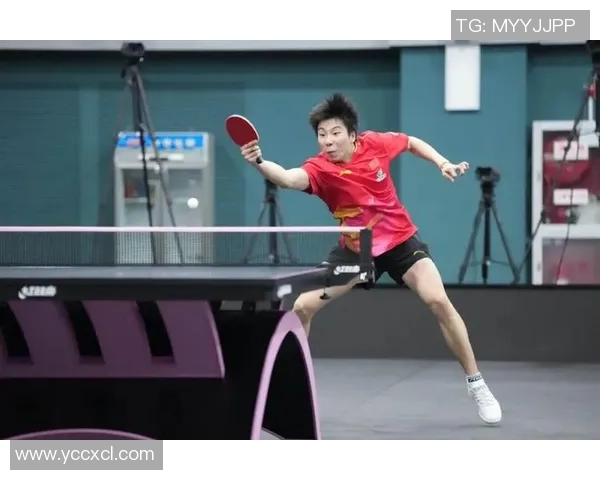 成都羽毛球队在世界杯舞台上的拼搏历程与荣耀追寻