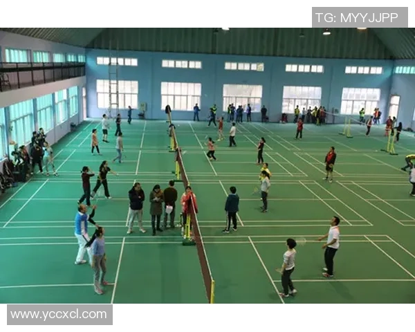 广州羽毛球队与武汉羽毛球队赛后复盘分析团队配合与战术执行的关键因素