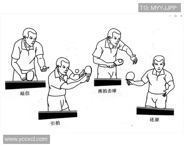 深圳乒乓球队整体压制的深度分析与战术解读