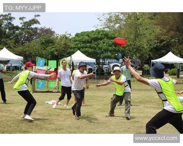 聚焦飞盘战术探讨：杭州飞盘队的策略与团队协作分析