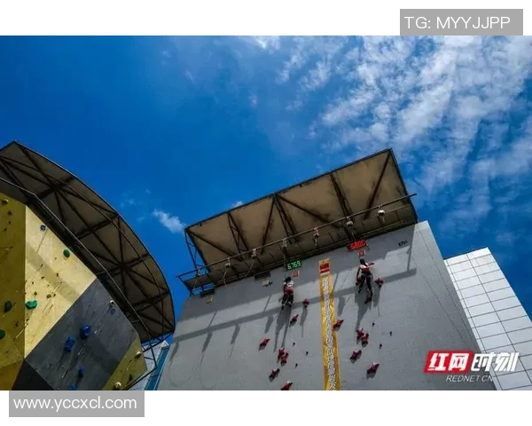 重庆攀岩队与南京攀岩队的精彩对决赛后分析与战术探讨 重庆攀岩队与南京攀岩队的精彩对决赛后分析与战术探讨